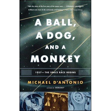 A Ball, A Dog, and A Monkey - by Michael (Paperback)