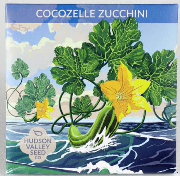 Cocozelle Zucchini- Hudson Valley Seed Co.